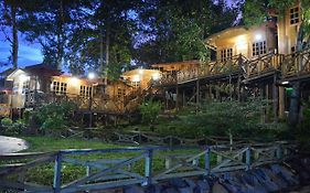 Borneo Tree House